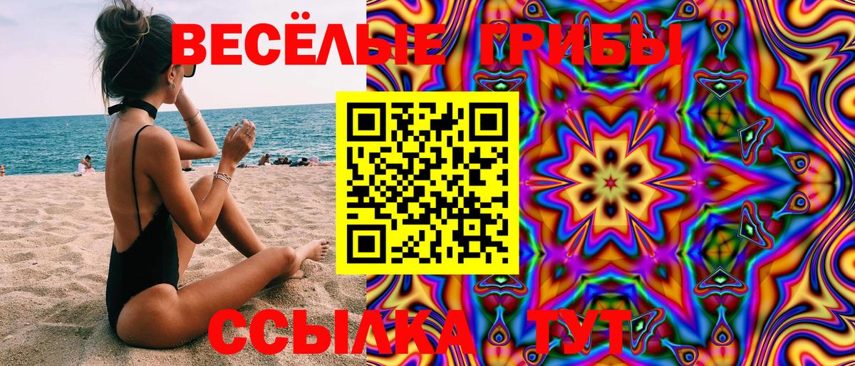 Псилоцибиновые грибы мухоморы  Чернушка 